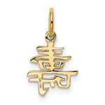 14k Solid Polished Chinese Long Life Charm - Product Photo