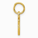 10K / 14K Yellow Gold Chinese Symbol "Good Luck" Charm - Product Photo
