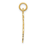 14K Yellow Gold Solid Polished Chinese Long Life Charm - Product Photo