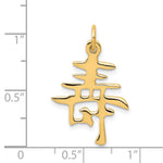14K Yellow Gold Solid Polished Chinese Long Life Charm - Product Photo