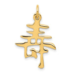 14K Yellow Gold Solid Polished Chinese Long Life Charm - Product Photo