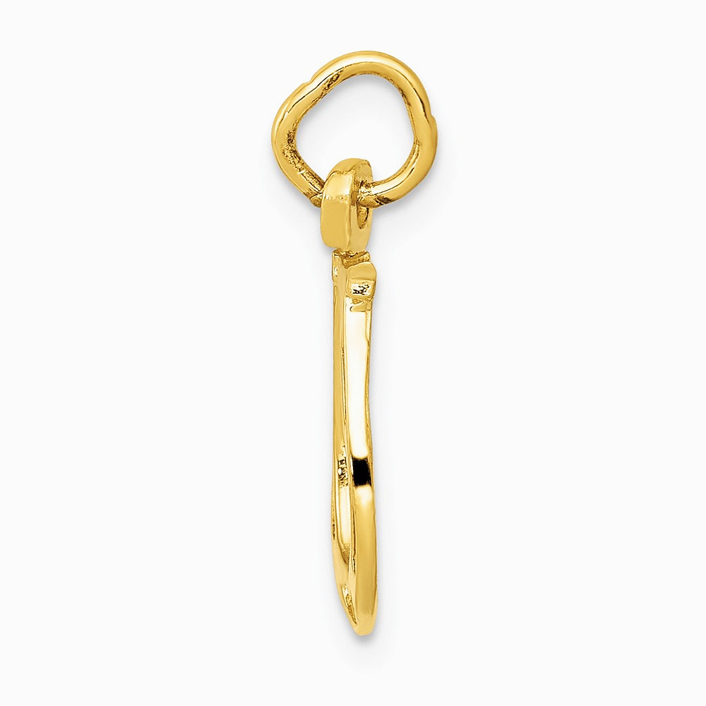 10K / 14K Yellow Gold Solid Polished Horseshoe Charm - Product Photo