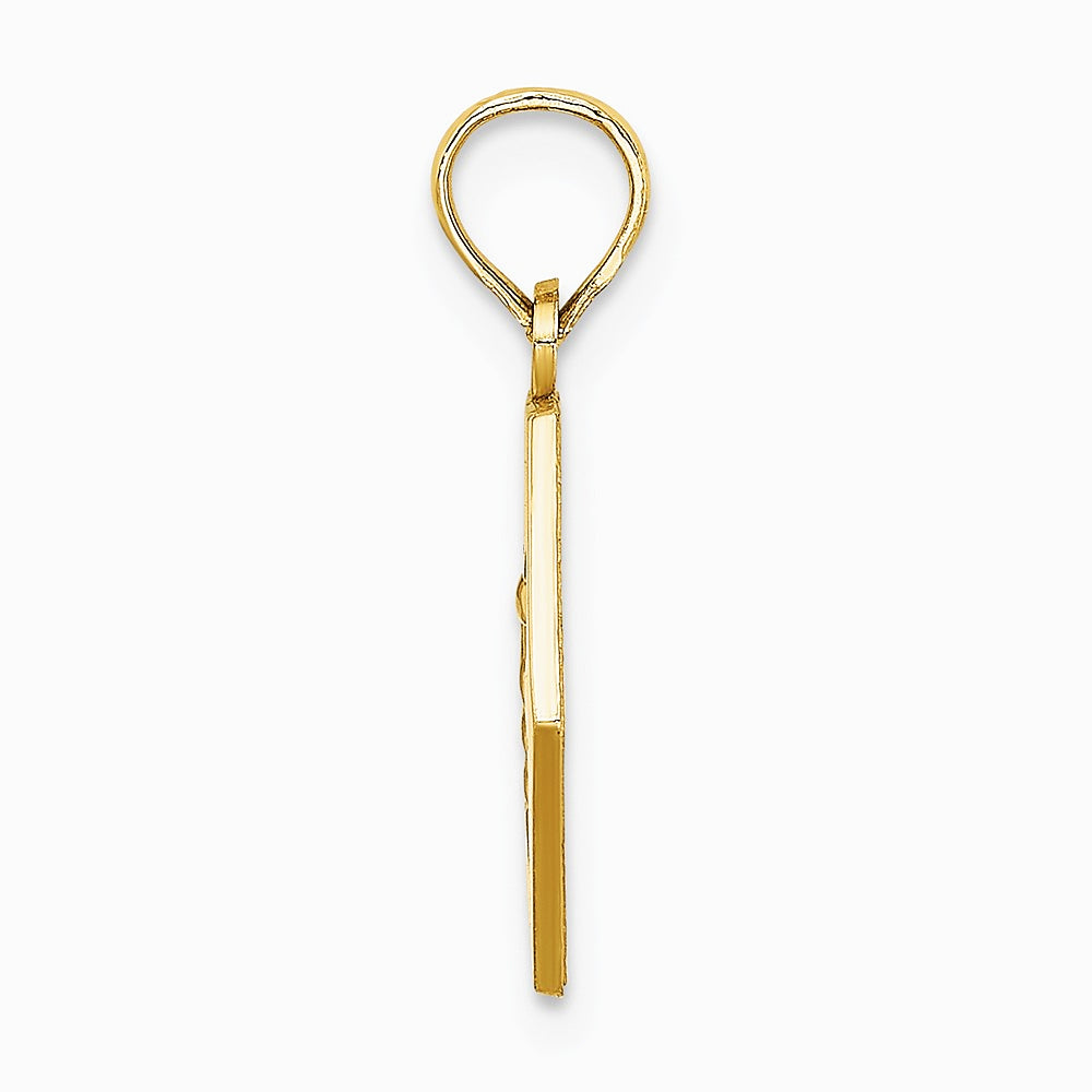 10K / 14K Yellow Gold Medical Disc Pendant - Product Photo