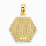 10K / 14K Yellow Gold Medical Disc Pendant - Product Photo