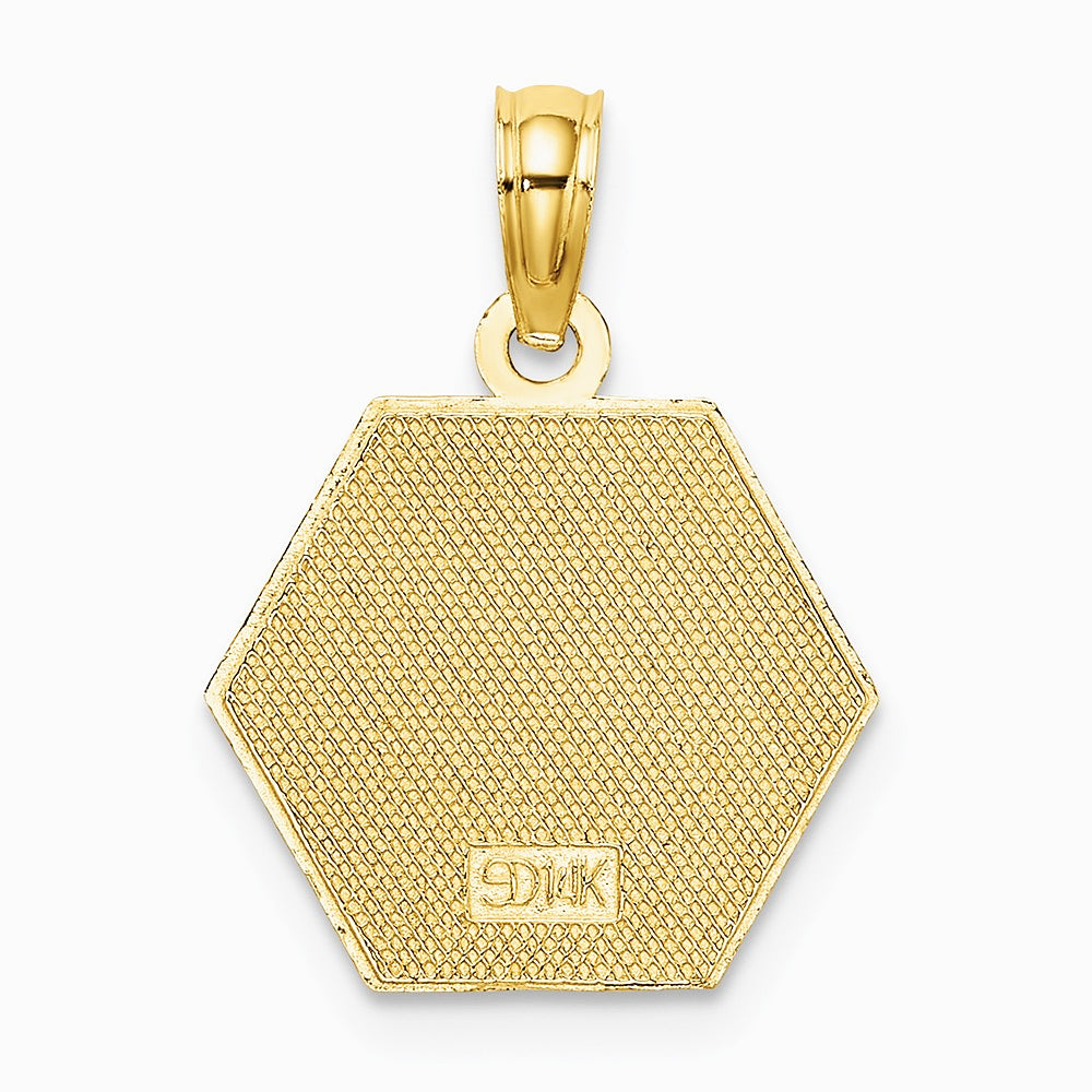 10K / 14K Yellow Gold Medical Disc Pendant - Product Photo
