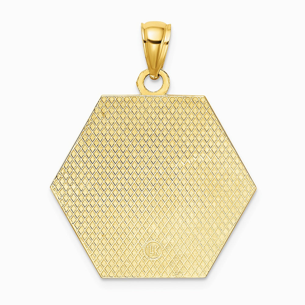 10K / 14K Yellow Gold Medical Disc Pendant - Product Photo
