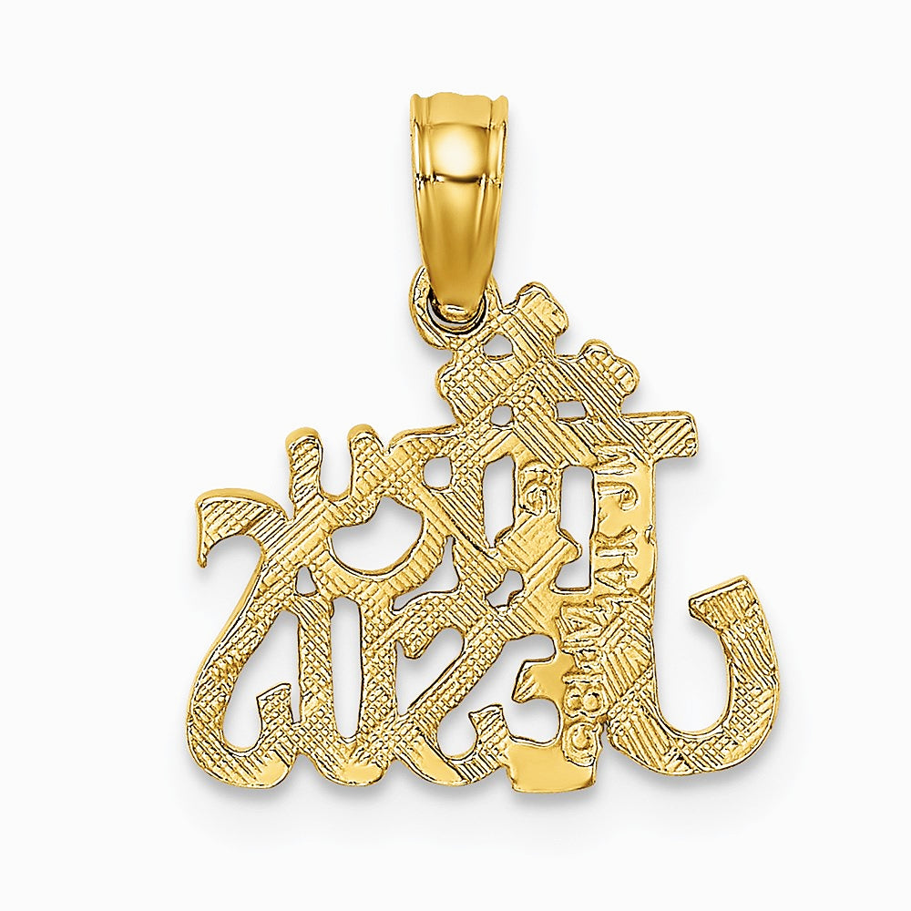 14K Yellow Gold Polished and Engraved TRY JESUS Charm - Product Photo