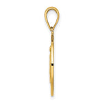 10K / 14K Yellow Gold Polished and Satin Miraculous Medal Charm - Product Photo