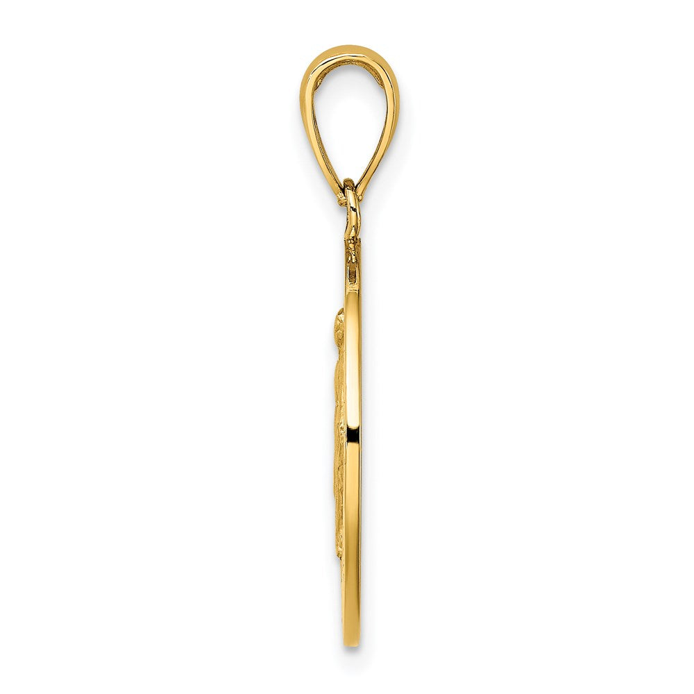 10K / 14K Yellow Gold Polished and Satin Miraculous Medal Charm - Product Photo
