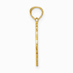 10K / 14K Yellow Gold CAPRICORN Zodiac Charm - Product Photo