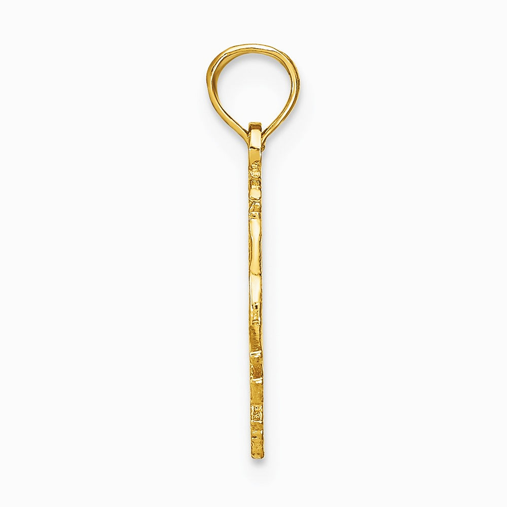 10K / 14K Yellow Gold CAPRICORN Zodiac Charm - Product Photo