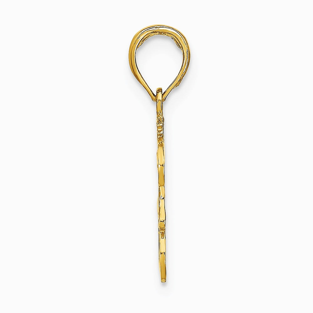 10K / 14K Yellow Gold LEO Zodiac Charm - Product Photo