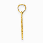 10K / 14K Yellow Gold VIRGO Zodiac Charm - Product Photo