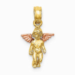 14K Two-Tone 3-D Mini Guardian Angel Charm - Product Photo