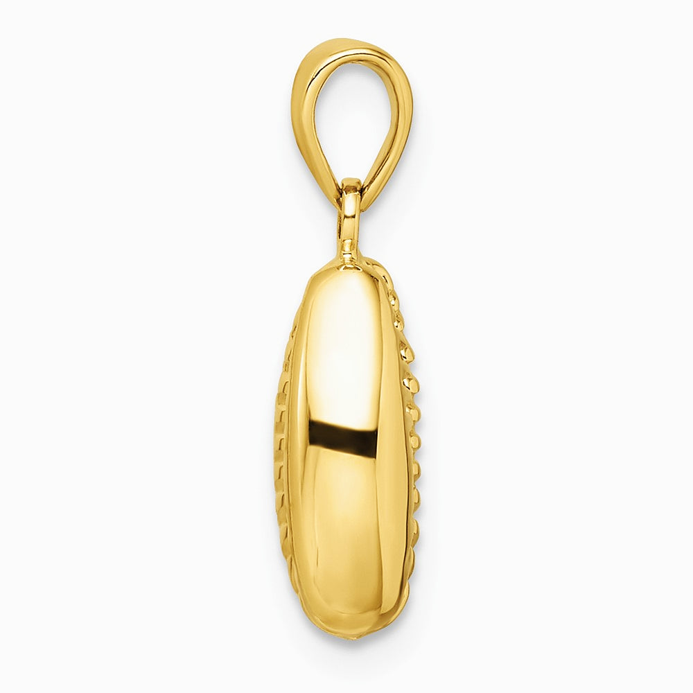 14K Yellow Gold Polished 3-D Cowrie Shell Pendant - Product Photo