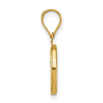 14K Yellow & Rhodium Rose and White Rhodium Polished CZ Mary Round Pendant - Product Photo