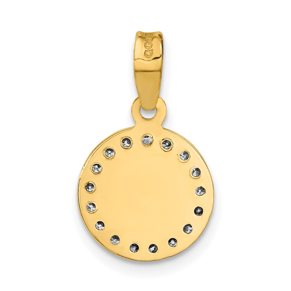 14K Yellow & Rhodium Rose and White Rhodium Polished CZ Mary Round Pendant - Product Photo