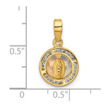 14K Yellow & Rhodium Rose and White Rhodium Polished CZ Mary Round Pendant - Product Photo