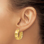 Leslie's 14K Polished Textured Oval Hoop Earrings - Product Photo