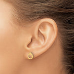 Leslie's 14K Polished Circle Post Earrings - Product Photo