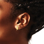 14K Yellow Gold Polished and Diamond-cut Leaf Post Earrings - Product Photo