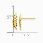 14K Yellow Gold Polished and Diamond-cut Leaf Post Earrings - Product Photo