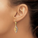Leslie's 14K Tri-Color Polished Dangle Leverback Earrings - Product Photo