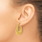 Leslie's 14K Polished Scallop Oval Hoop Earrings - Product Photo