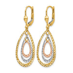 Leslie's 14K Tri-color Polished and D/C Leverback Earrings - Product Photo
