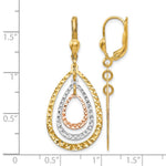 Leslie's 14K Tri-color Polished and D/C Leverback Earrings - Product Photo