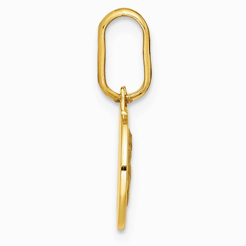 14K Yellow Gold Polished and Matte Angel Pendant - Product Photo