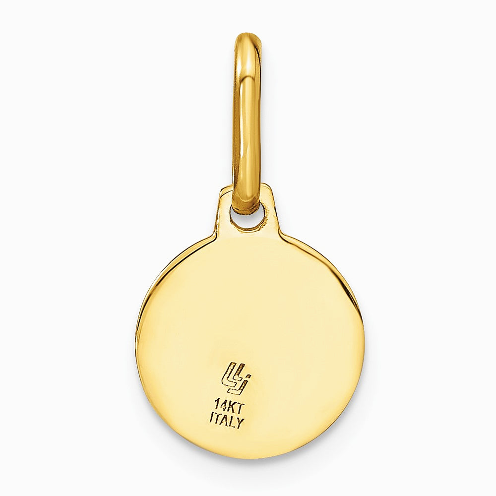 14K Yellow Gold Polished and Matte Angel Pendant - Product Photo