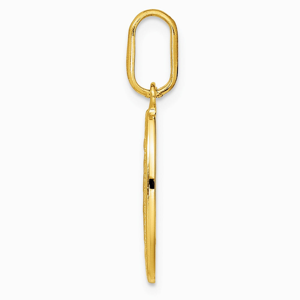 14K Yellow Gold Polished and Matte Oval Miraculous Medal - Product Photo
