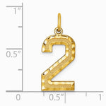 10K / 14K Yellow Gold 10ky Casted Large Diamond Cut Number 2 Charm - Product Photo