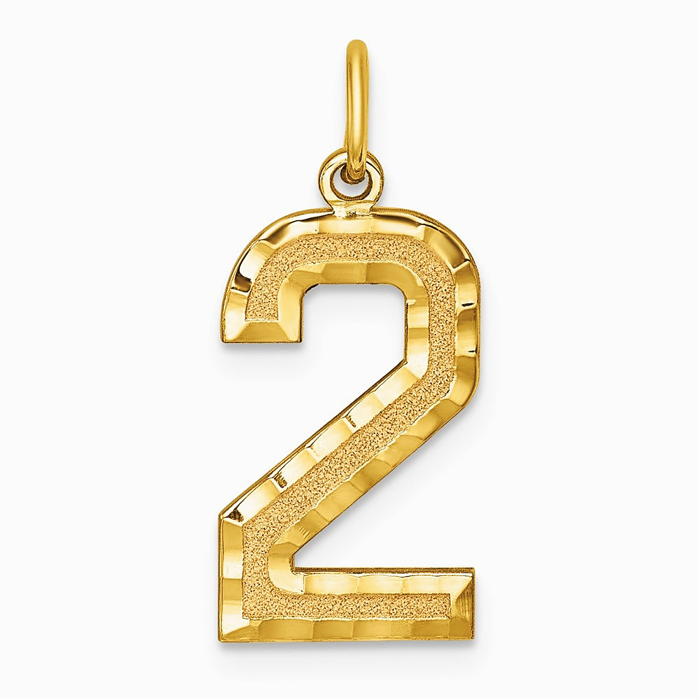 10K / 14K Yellow Gold 10ky Casted Large Diamond Cut Number 2 Charm - Product Photo