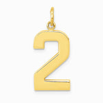 10K / 14K Yellow Gold Large Polished Number 2 Charm - Product Photo