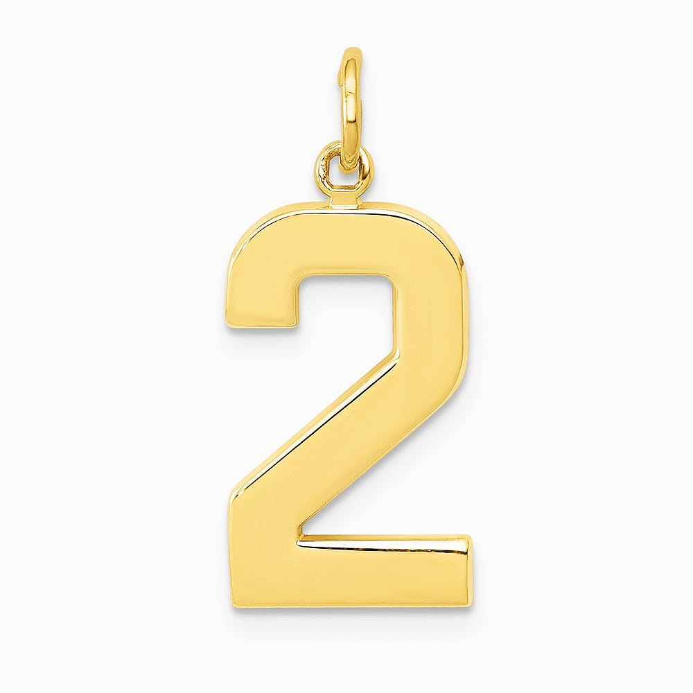 10K / 14K Yellow Gold Large Polished Number 2 Charm - Product Photo