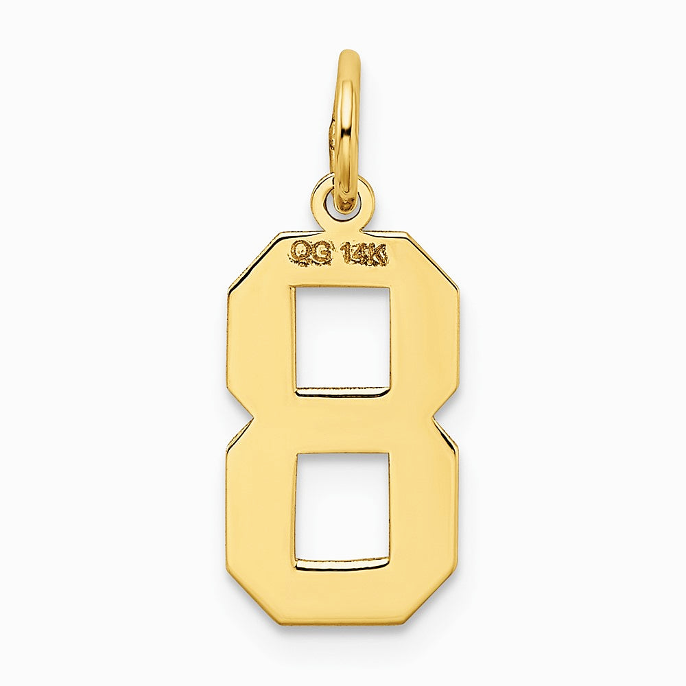 10K / 14K Yellow Gold Medium Satin Number 8 Charm - Product Photo