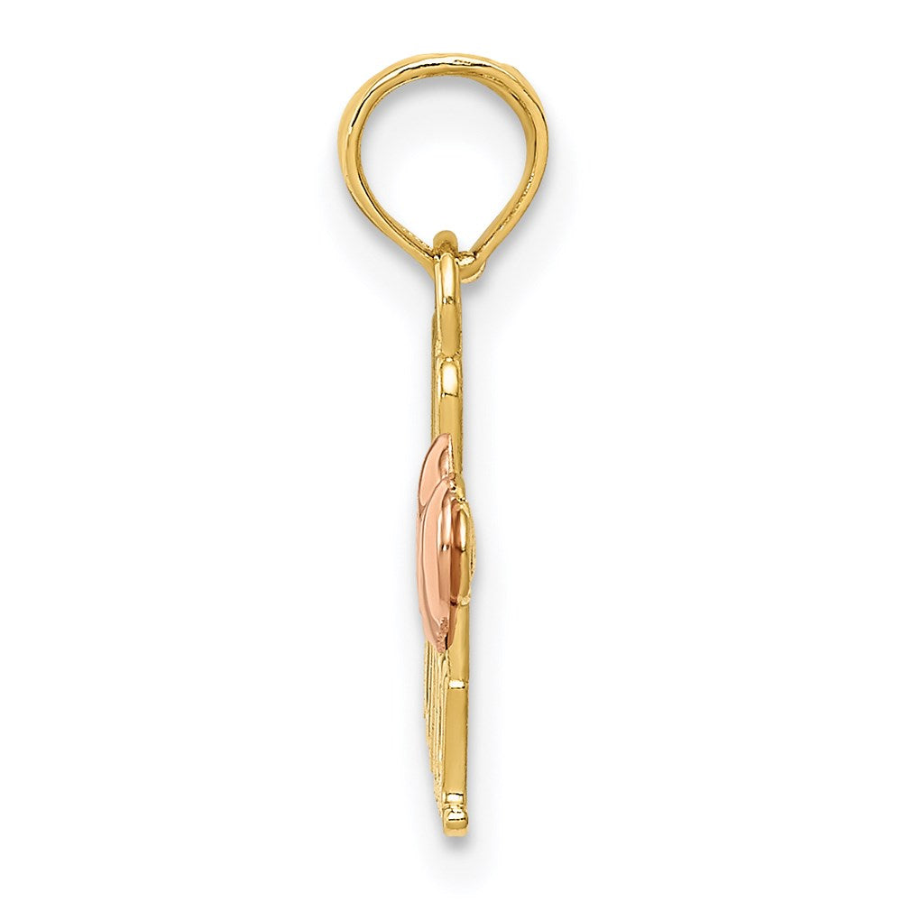 14k Two-Tone WE LOVE NANA Charm - Product Photo