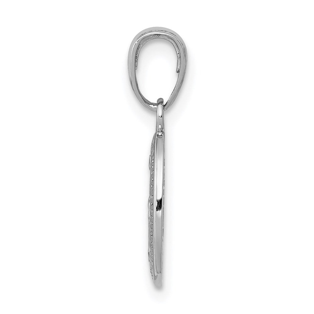 10K / 14K White Gold Miraculous Medal Charm - Product Photo