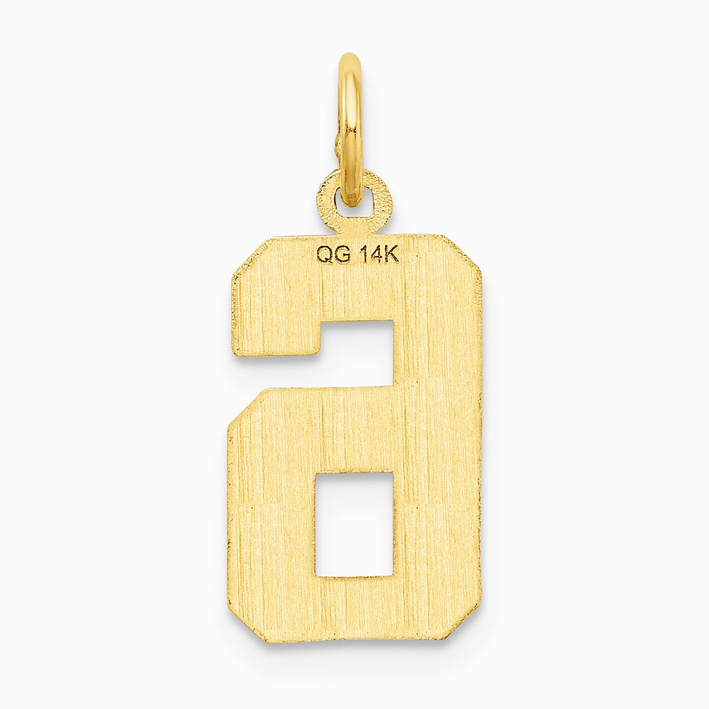 10K / 14K Yellow Gold 10ky Casted Medium Diamond-cut Number 6 Charm - Product Photo