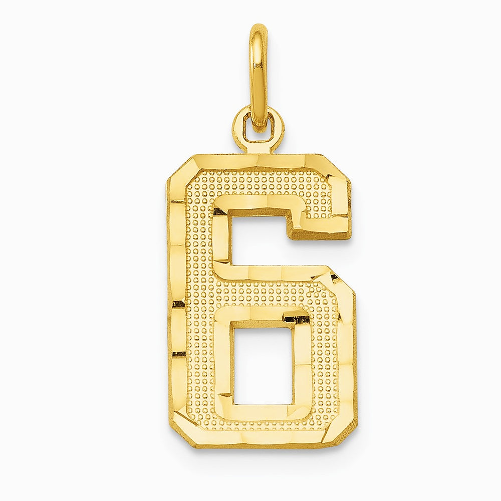 10K / 14K Yellow Gold 10ky Casted Medium Diamond-cut Number 6 Charm - Product Photo