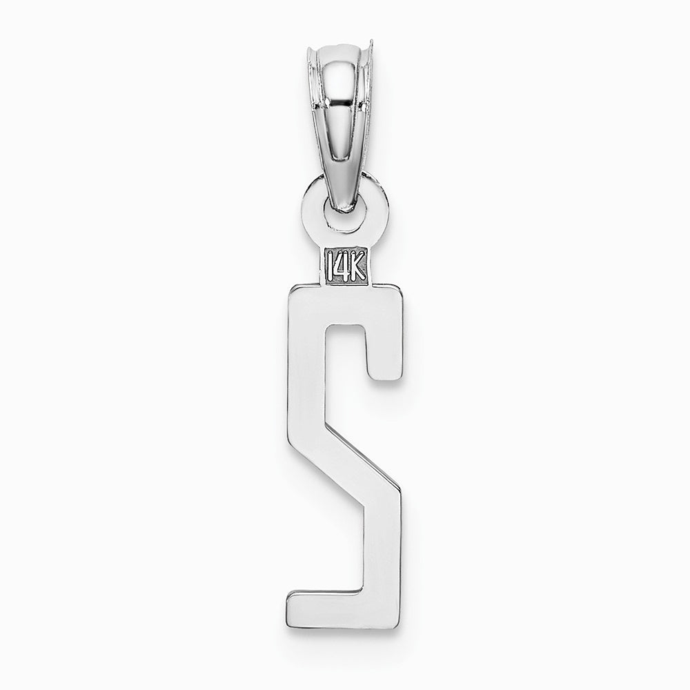 14K White Gold 14kw Polished Number 2 Pendant - Product Photo