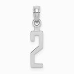 14K White Gold 14kw Polished Number 2 Pendant - Product Photo