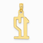 10K / 14K Yellow Gold Number 12 Pendant - Product Photo