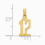 10K / 14K Yellow Gold Number 12 Pendant - Product Photo