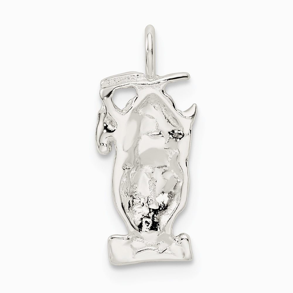 Sterling Silver Graduation Owl Charm - Product Photo