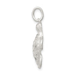 Sterling Silver Turtle Charm - Product Photo