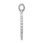 Sterling Silver Platinum-plated Ichthus Fish Charm - Product Photo