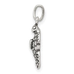 Sterling Silver Antiqued Sea Turtle Charm - Product Photo
